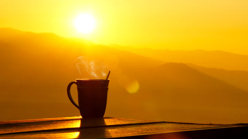 Morning Ritual with Ambassador, Jenna