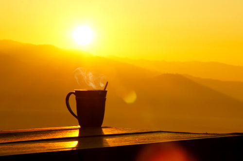 Morning Ritual with Ambassador, Jenna